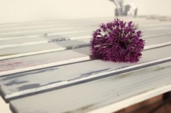 Shabby chic – romantyczne wnętrza z duszą